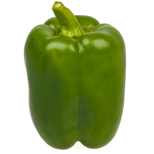 Large Green Bell Pepper